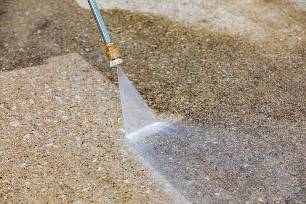 Best Gutter Cleaning  in Ragland, AL